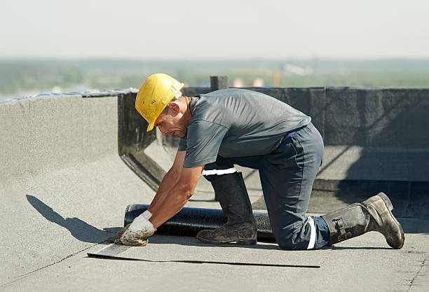 Best Insulation Installation Services in Porters Neck, NC